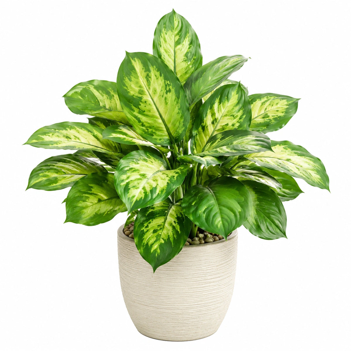 Plante verte artificielle 90 cm feuillage vert panaché en plastique pot décoratif intérieur réaliste