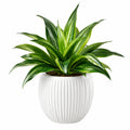 Plante verte artificielle 65 cm en plastique vert avec pot en céramique blanc style contemporain